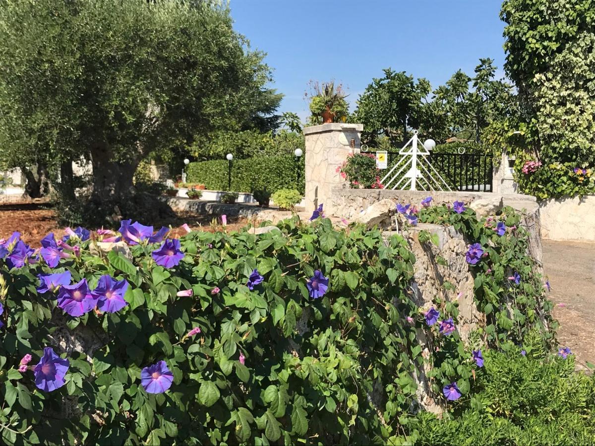 Il Trullo Di Nonno Angelo San Marco Ξενοδοχείο Locorotondo Εξωτερικό φωτογραφία