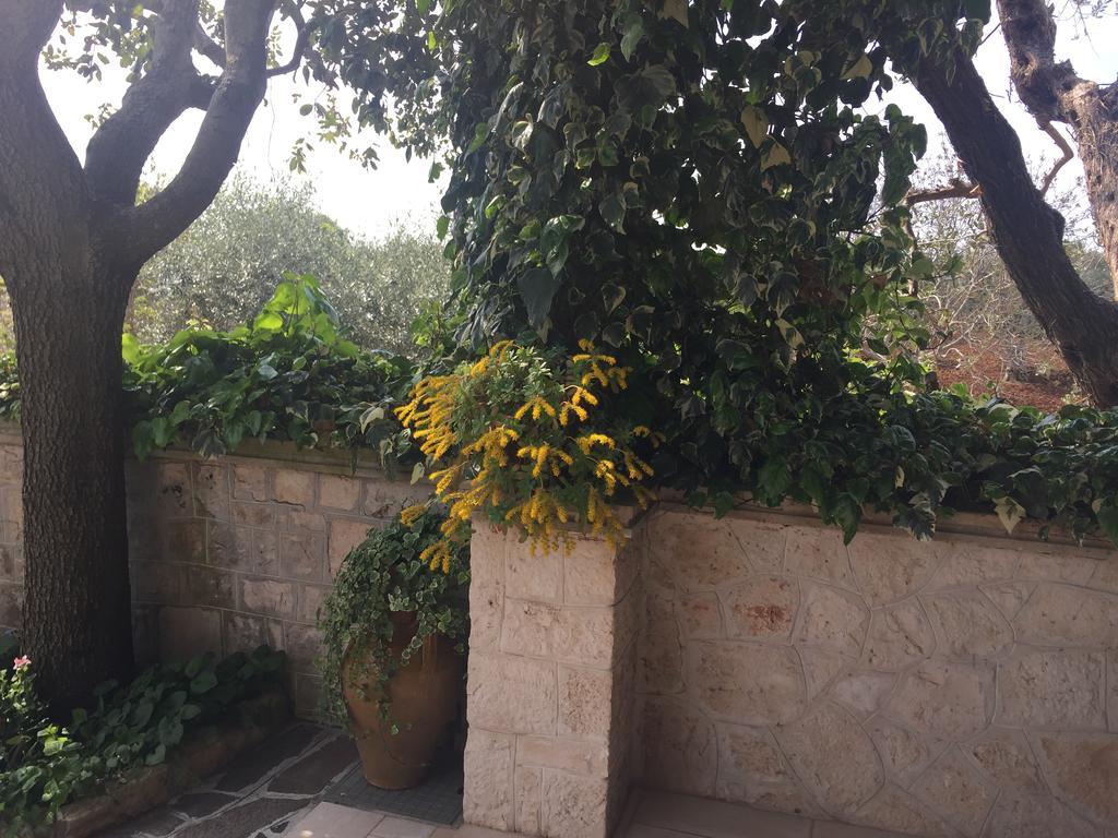 Il Trullo Di Nonno Angelo San Marco Ξενοδοχείο Locorotondo Εξωτερικό φωτογραφία