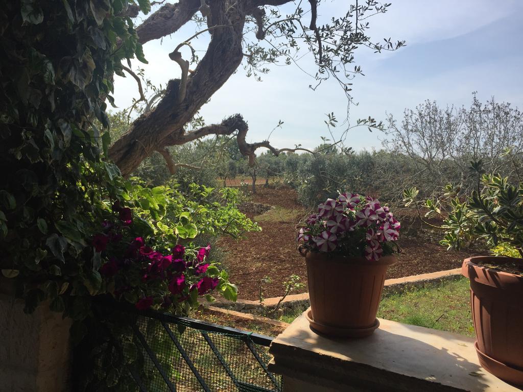 Il Trullo Di Nonno Angelo San Marco Ξενοδοχείο Locorotondo Εξωτερικό φωτογραφία