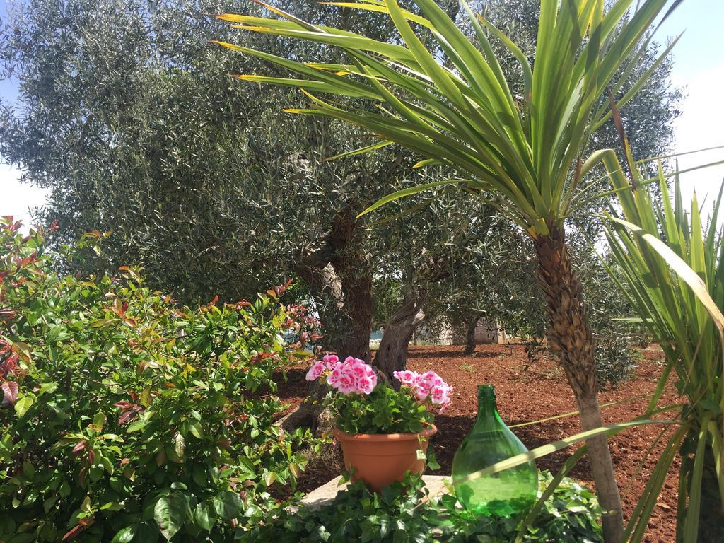 Il Trullo Di Nonno Angelo San Marco Ξενοδοχείο Locorotondo Εξωτερικό φωτογραφία
