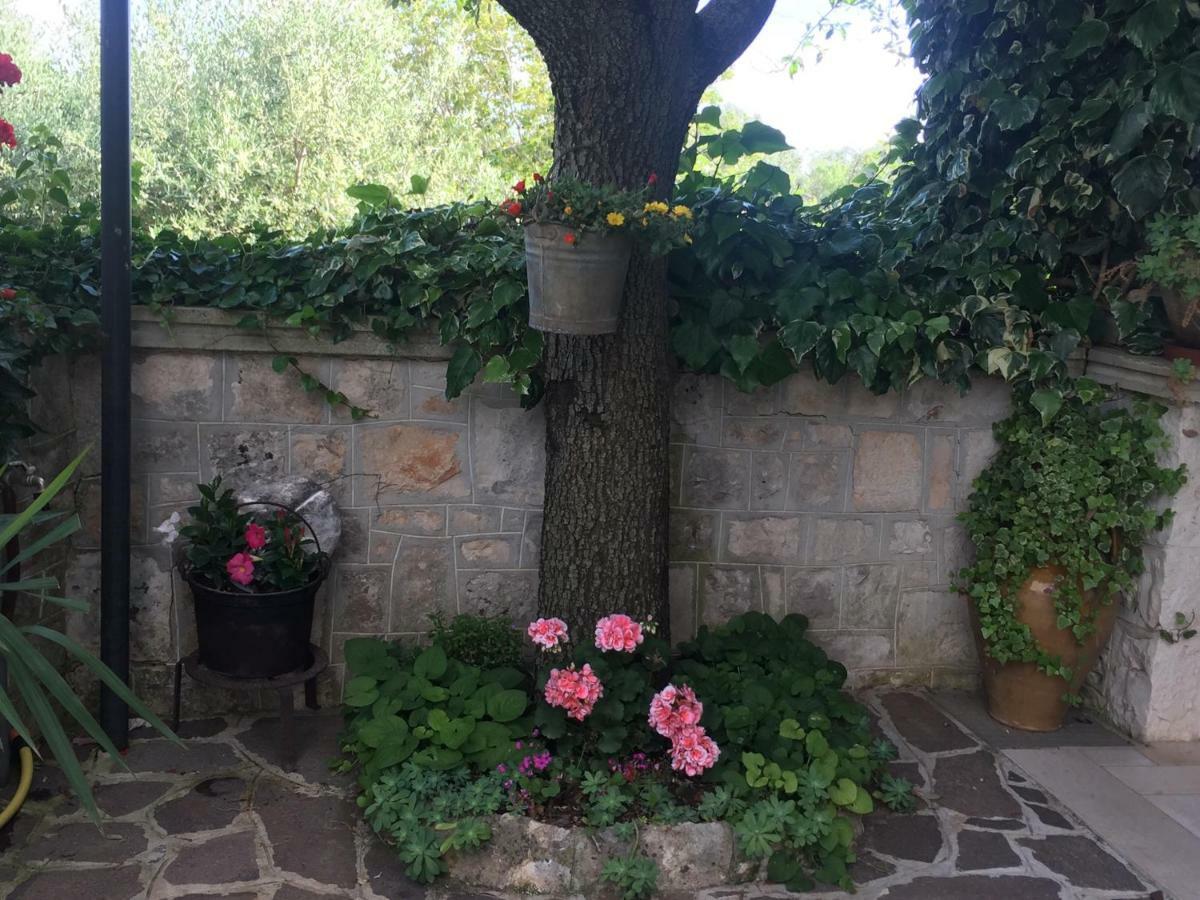 Il Trullo Di Nonno Angelo San Marco Ξενοδοχείο Locorotondo Εξωτερικό φωτογραφία