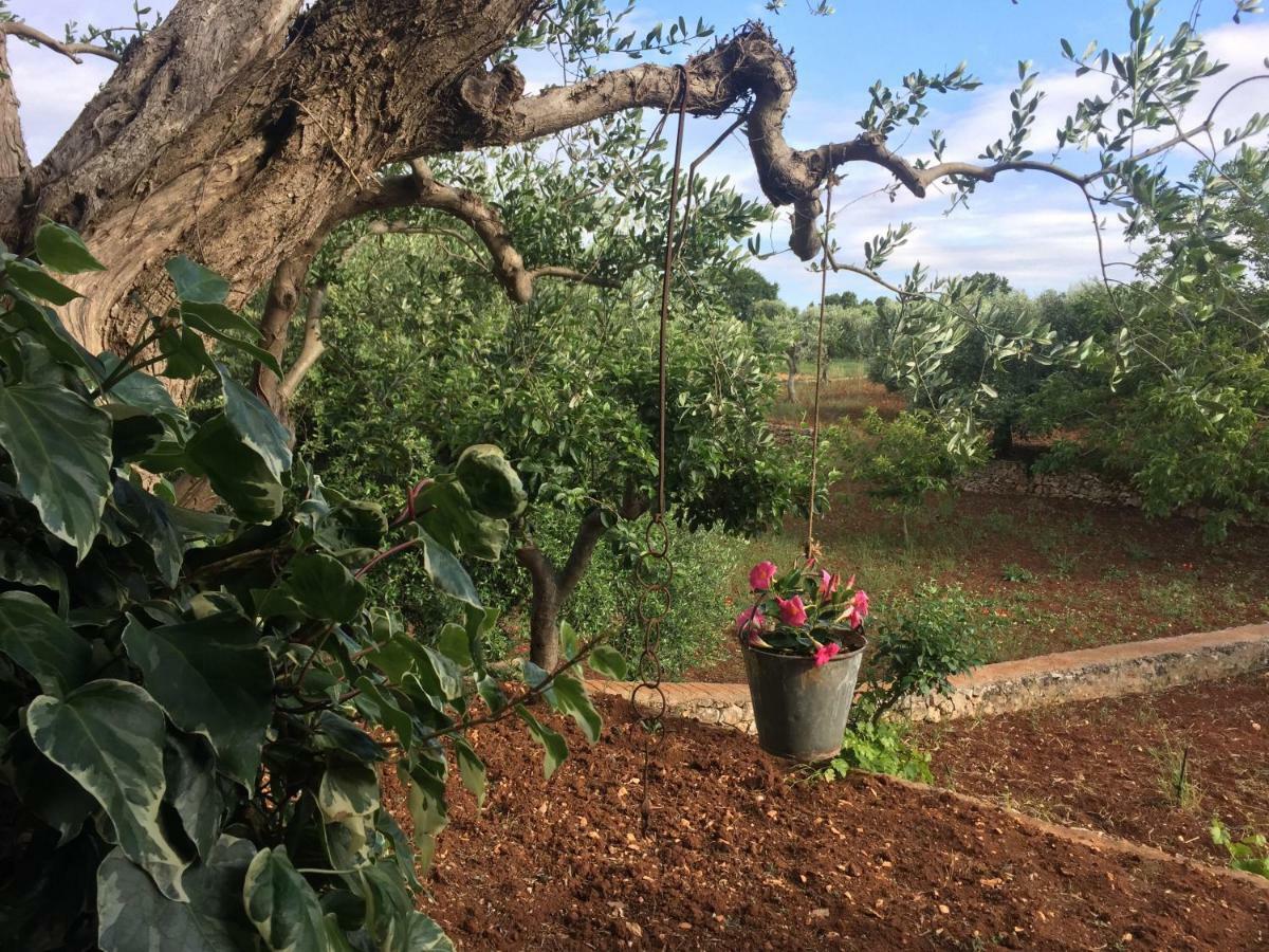 Il Trullo Di Nonno Angelo San Marco Ξενοδοχείο Locorotondo Εξωτερικό φωτογραφία